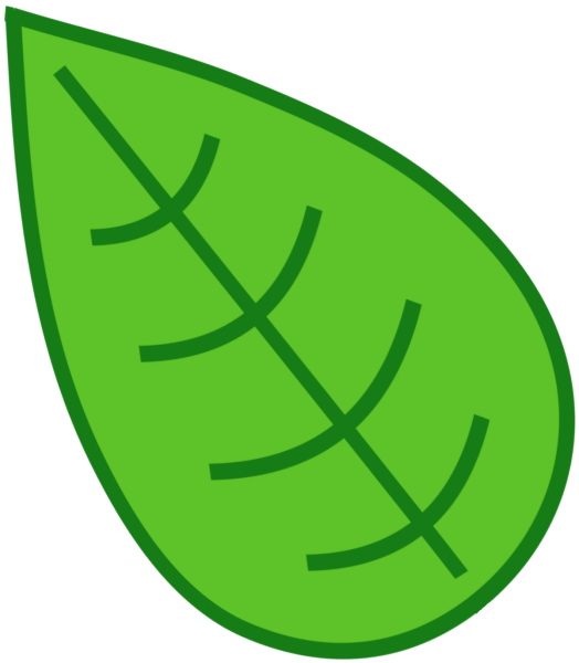 Лист эко на прозрачном фоне