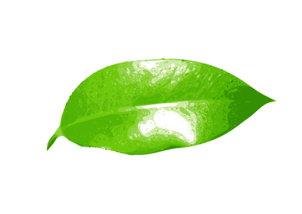 Эмодзи кленовый лист