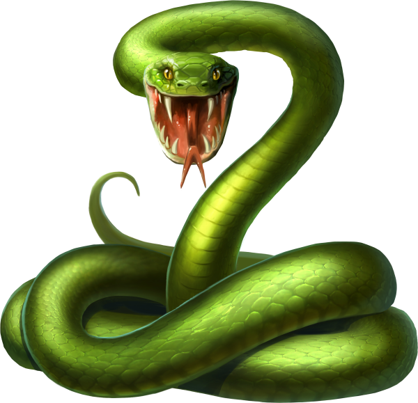 Змея на зеленом фоне