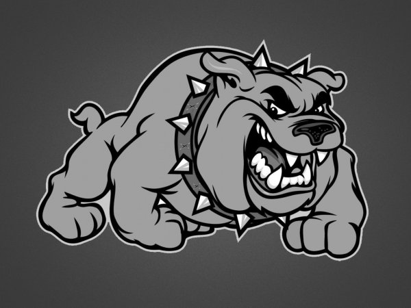 Тату бульдог со штангой