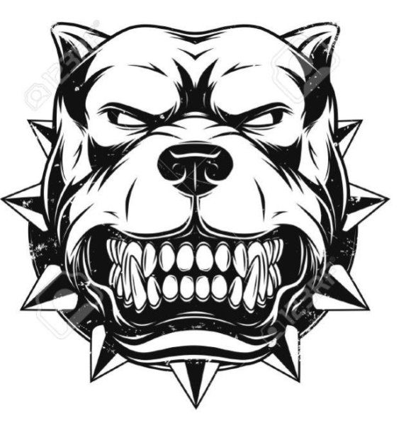 Злая морда собаки