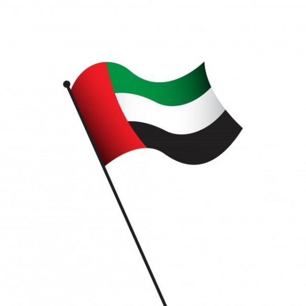 UAE ОАЭ Flag