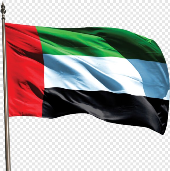 Россия ОАЭ флаги