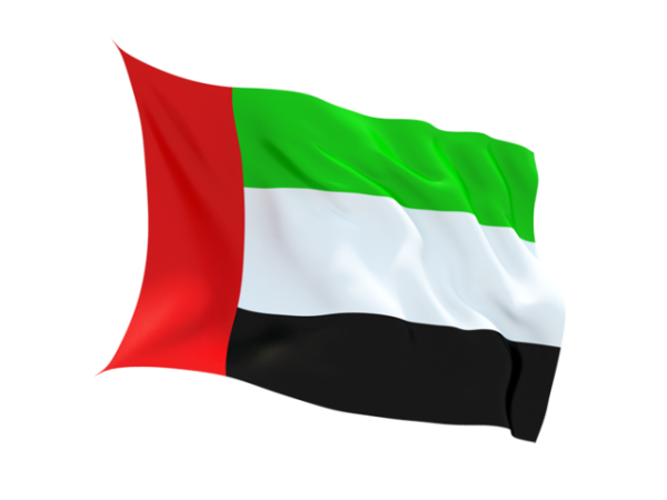 Дубайский флаг