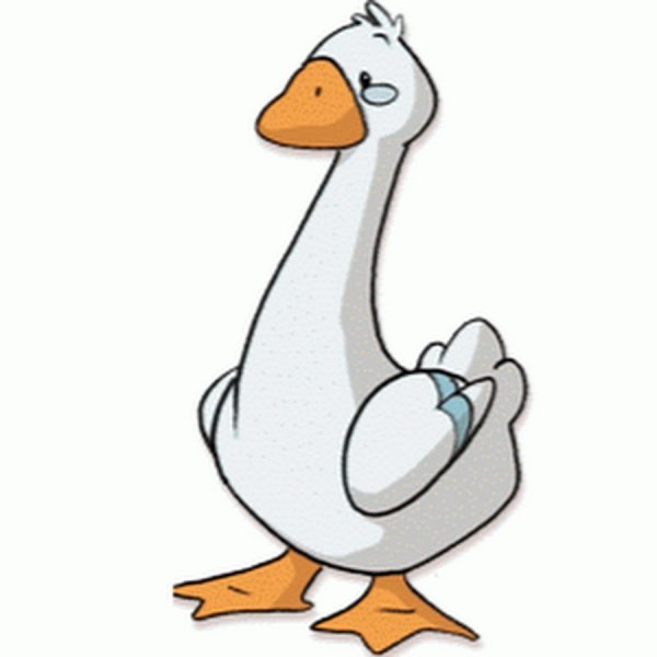 Стикеры телеграмм Чайка Джо