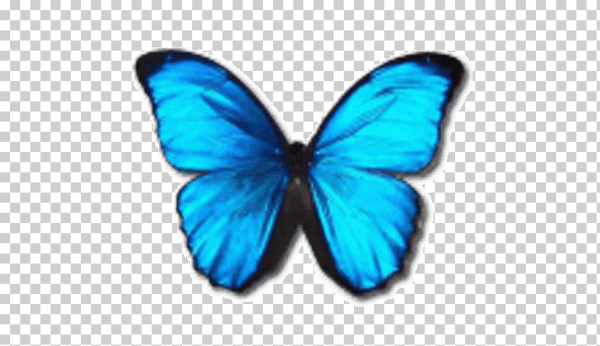 ЭМОДЖИ синяя бабочка