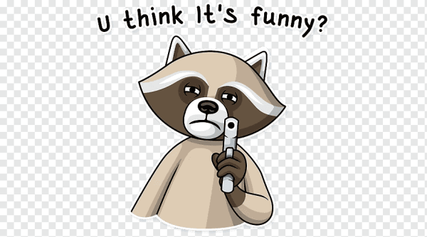 Енот Елисей телеграмм