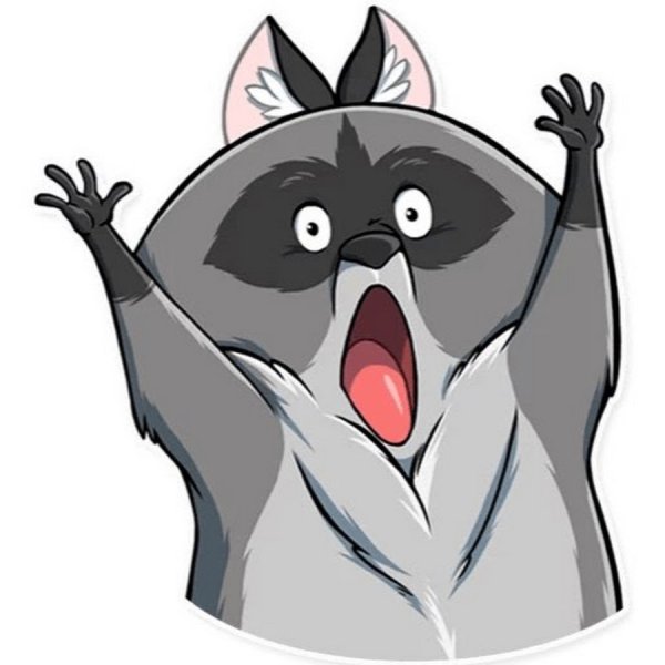 Racoon енот Стикеры телеграм