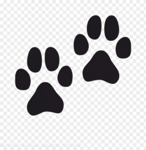 Наклейки кошачьих лап