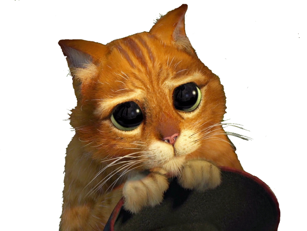 Кот в сапогах из Шрека с большими глазами