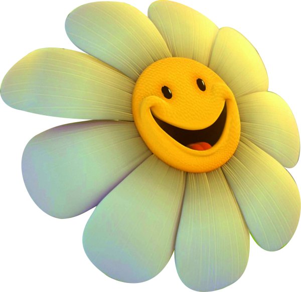 Смайлик цветочек