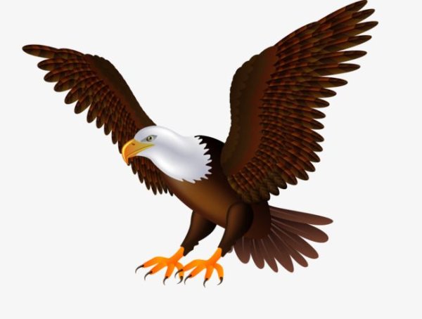 Парящий Орел