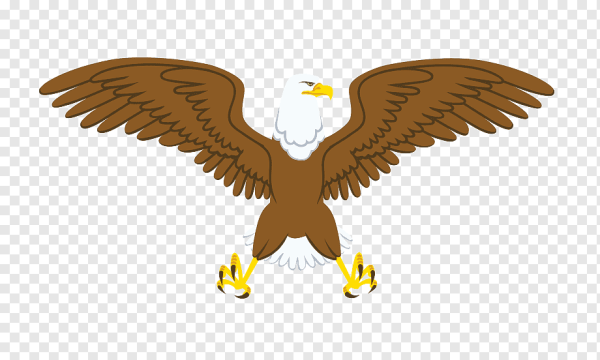 Белоголовый Орлан мульт