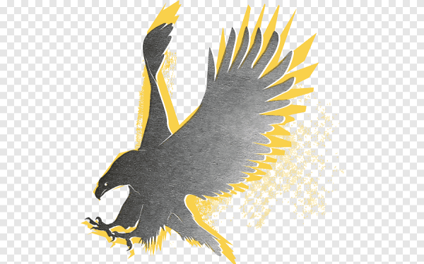 Сокол Смайл