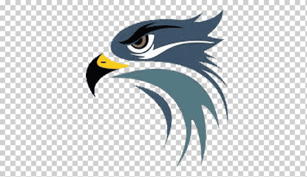 Сокол логотип