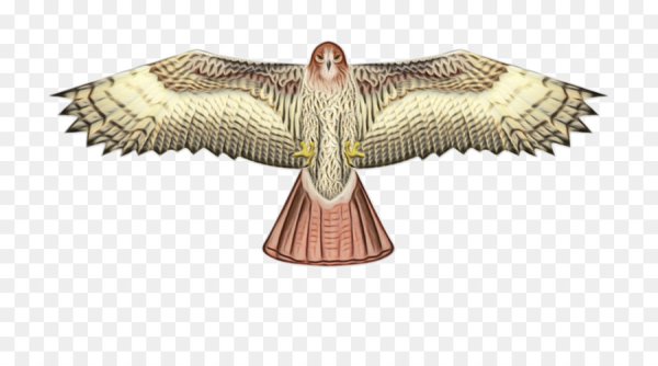 Воздушный змей Сокол