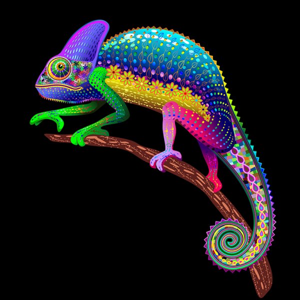 Постер хамелеон