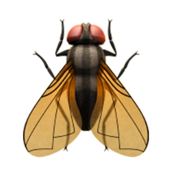 Муха смайлик