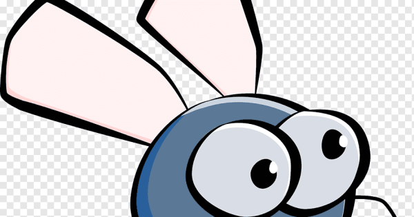 Аудио рекордер полоски Муха мульт