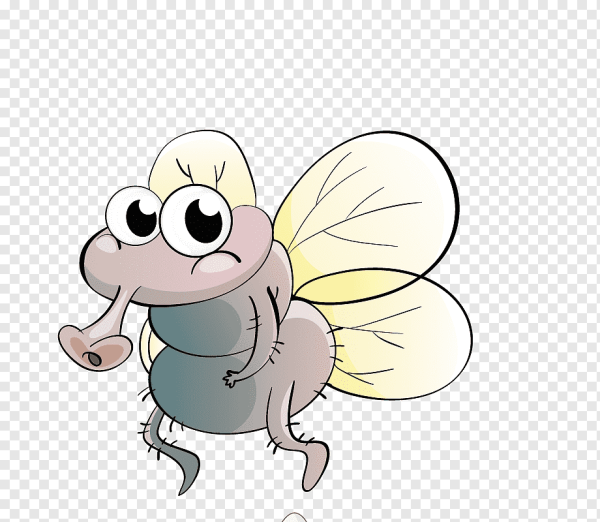 Добрая Муха