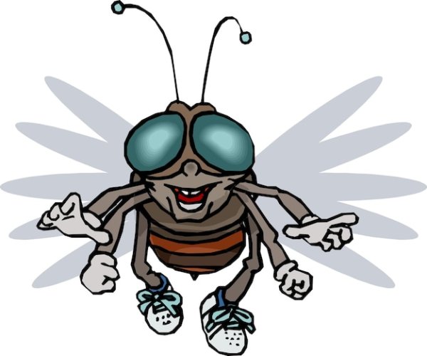 Муха смайлик