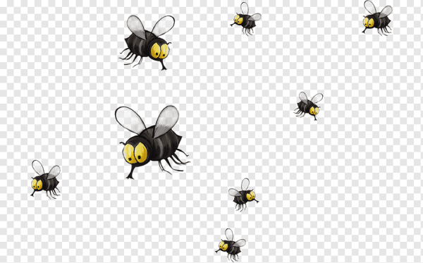 Много мух на прозрачном фоне