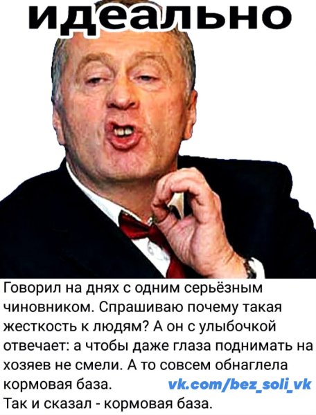 Стикеры Жириновский