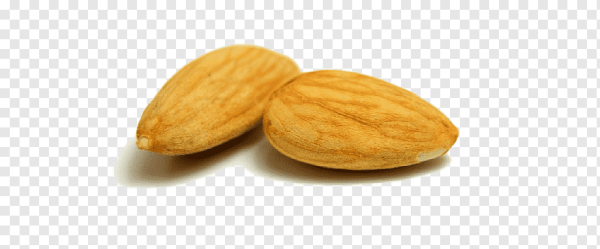 Абрикосовая косточка на прозрачном фоне