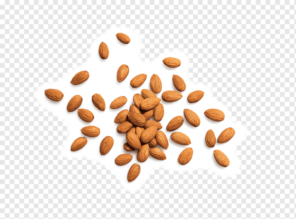 Семена миндаля