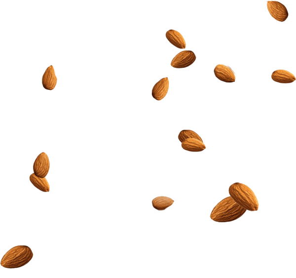 Орехи без фона