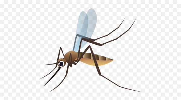 Рожица комару