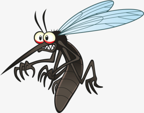 Комар для дошкольников