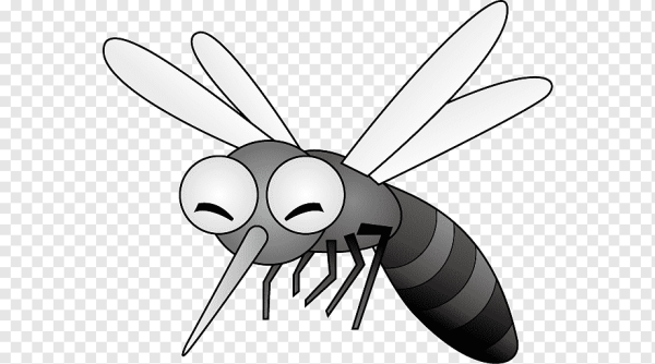 Укус комара мультяшные