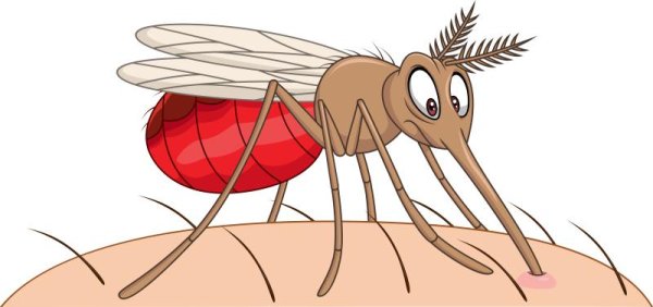 Смешной комарик