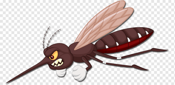 Комар мультяшная без фона