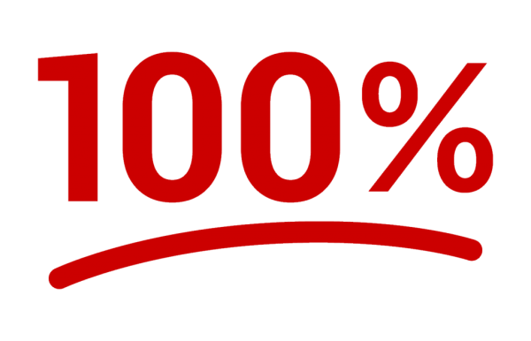 Значок 100 процентов