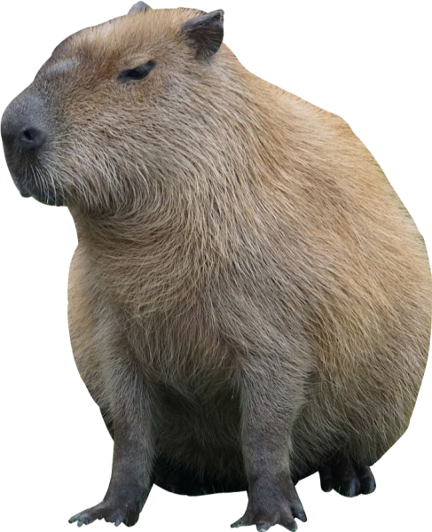 Эмодзи капибара