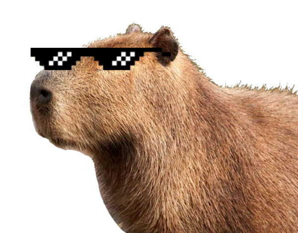 Капибара вектор