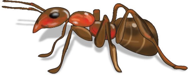 Смайлик муравей