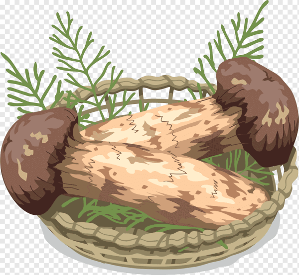 Логотип грибов