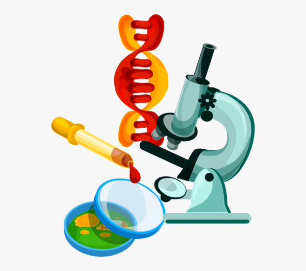 Химия и биология