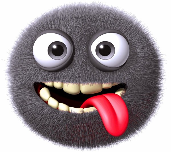 Смешная морда