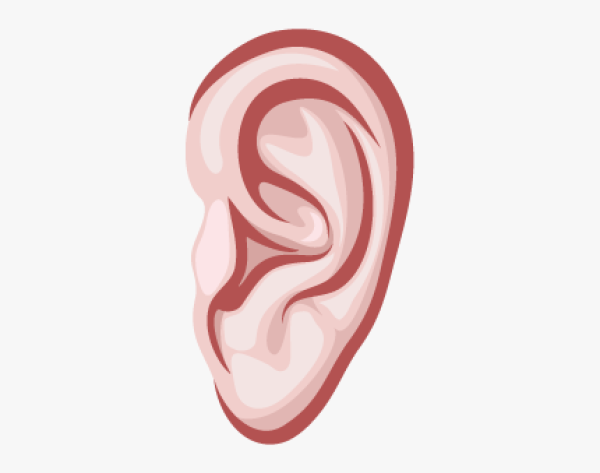 Ухо мультяшное