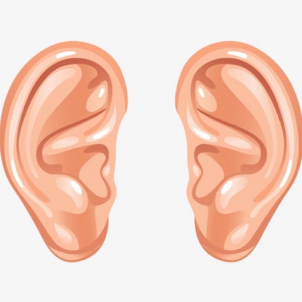 Ухо рисунок