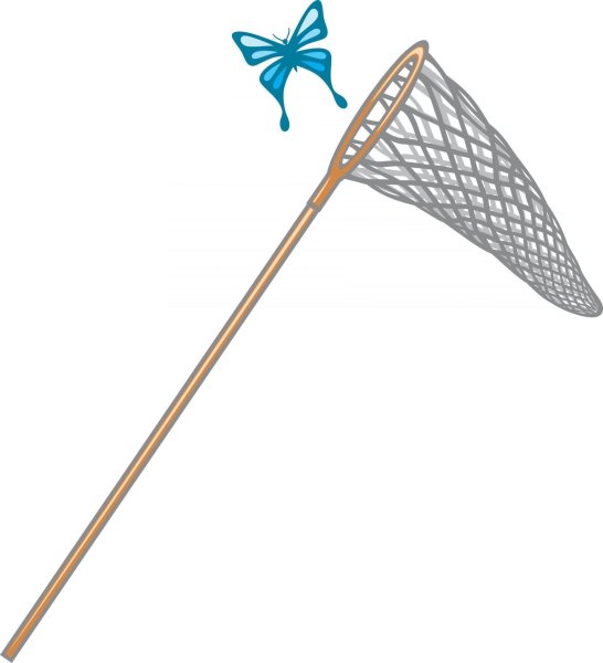 Сачок для бабочек вектор
