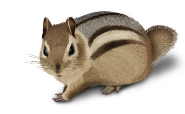 Стикеры ВК кофе