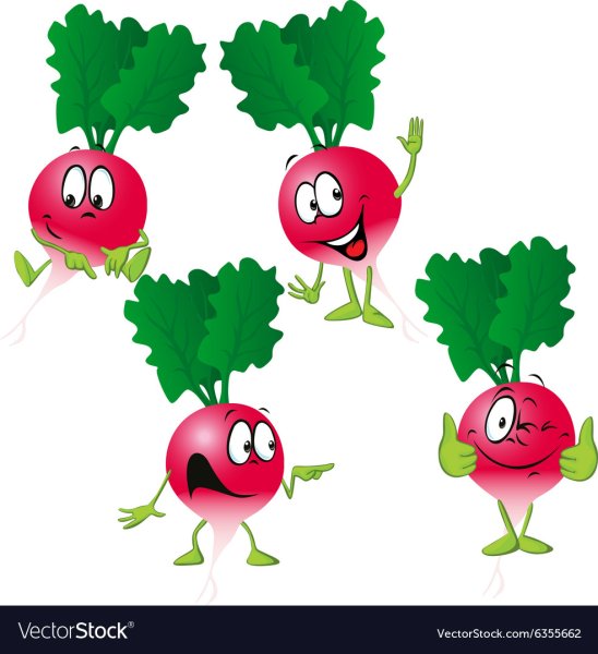 Редиска с глазками