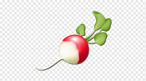 Редиска для детей