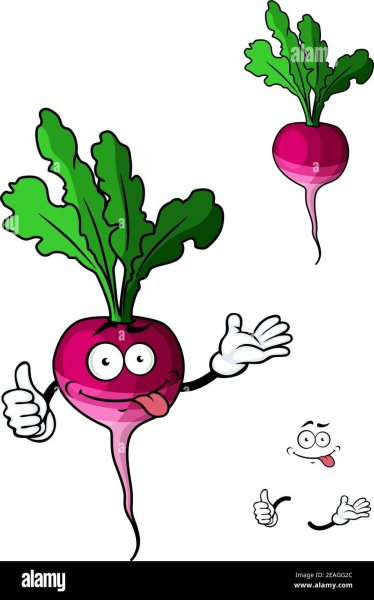 Редиска и свекла