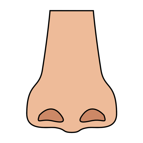 Смайлик с носом